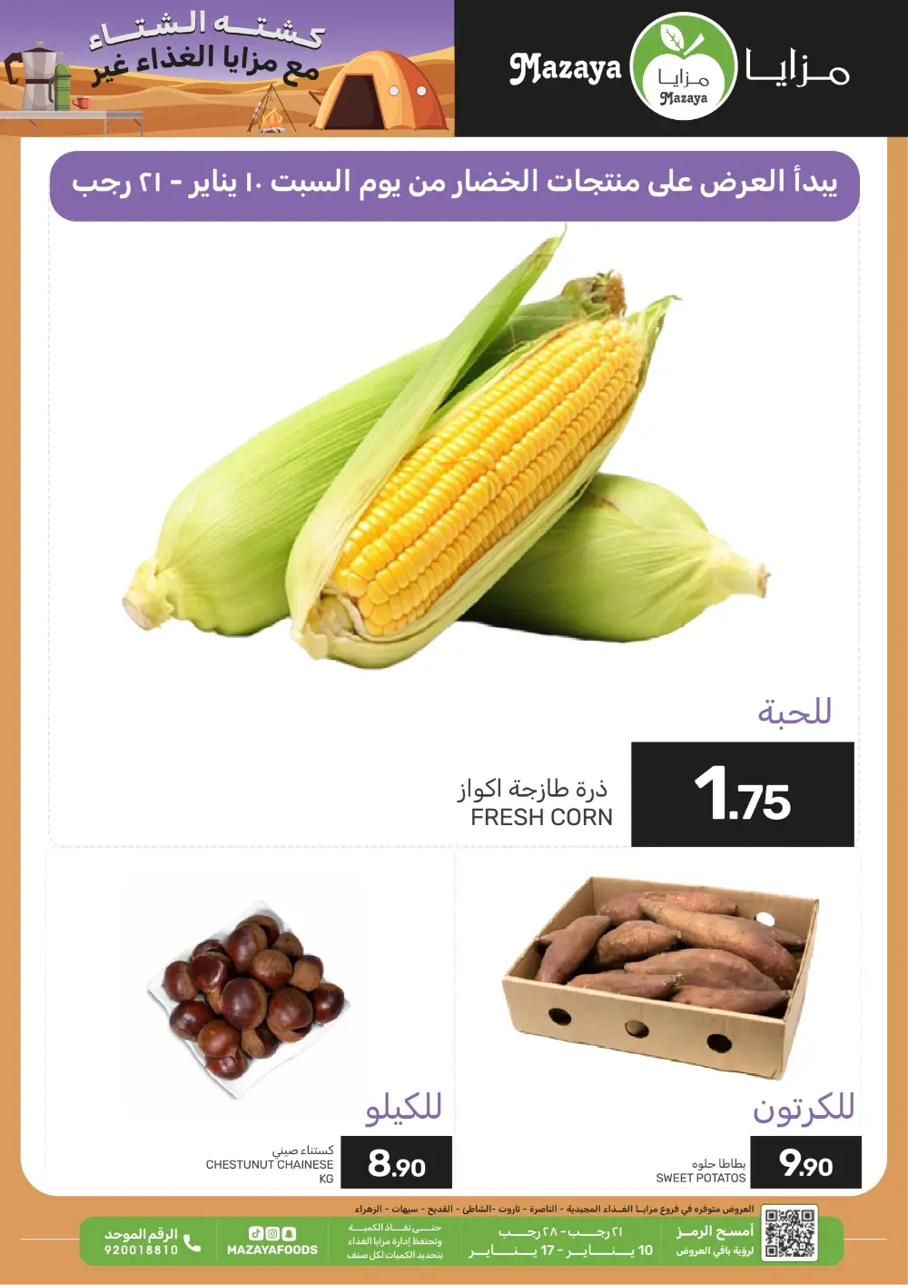 Winter Camping & Grocery Offers